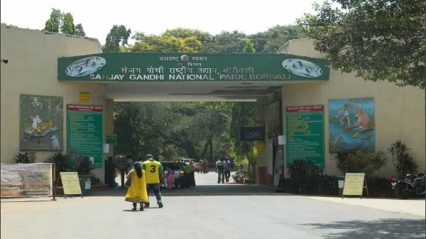 Mumbai: Maharashtra Govt to Build INR 196 Crore Wall Around SGNP